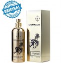 Montale Arabians