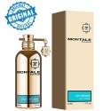 Montale Day Dreams