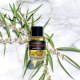 Frederic Malle Carnal Flower