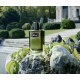 Brioni Eau de Parfum Essentiel