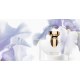 Bvlgari Splendida Patchouli Tentation