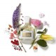 Creed Aventus For Her