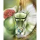 Jean Paul Gaultier Le Beau Paradise Garden