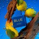 Antonio Banderas Blue Seduction Summer Essence for Men