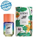 Loewe Paula's Ibiza Eclectic