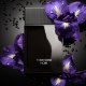 Tom Ford Noir