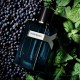 Yves Saint Laurent Y Eau de Parfum Intense