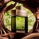 Bvlgari Man Wood Essence